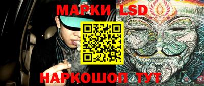 индика Заволжье