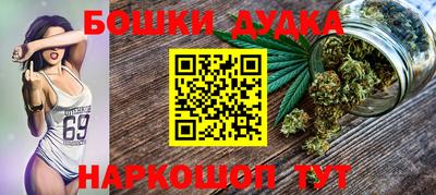 индика Заволжье